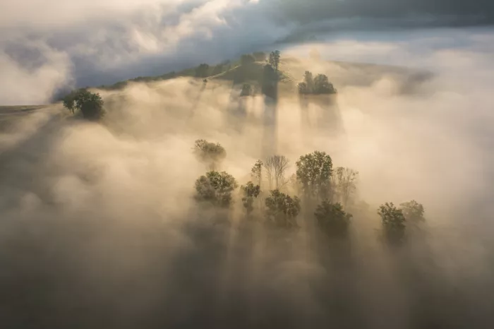 Coman, Ionut Alexandru: Sonnenaufgang über dem nebelverhuellten Hügel
