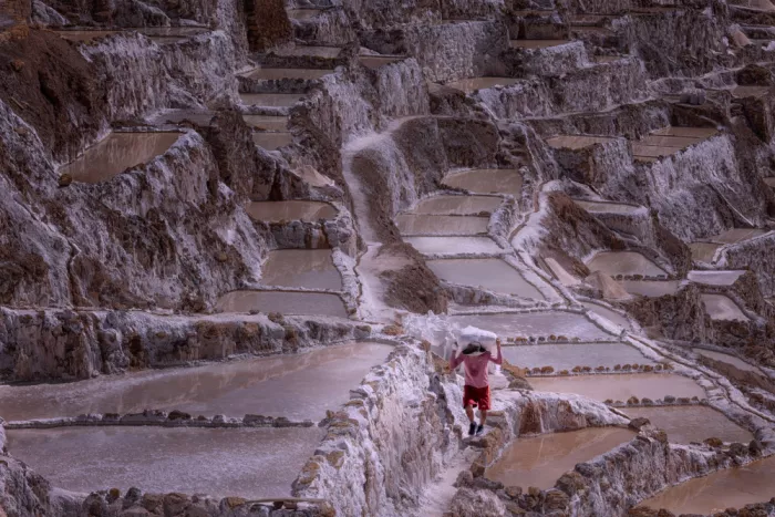 Zhang, Dennis: Echoes of Maras