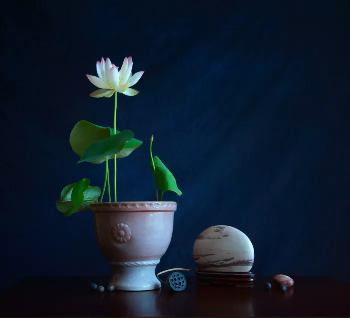 Zhou, Fangping: The Lotus and the Stone