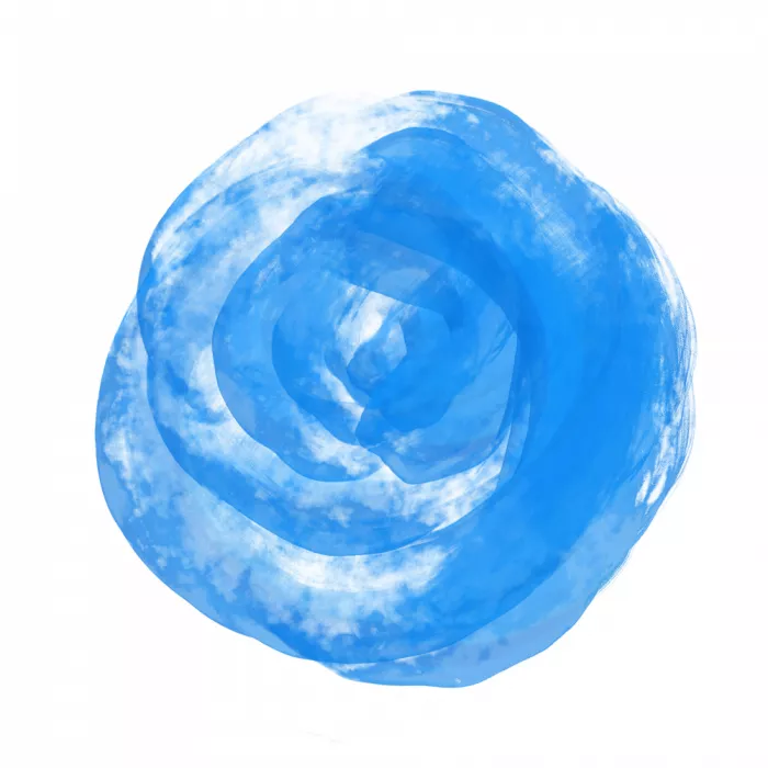 Martina: Rosa blu