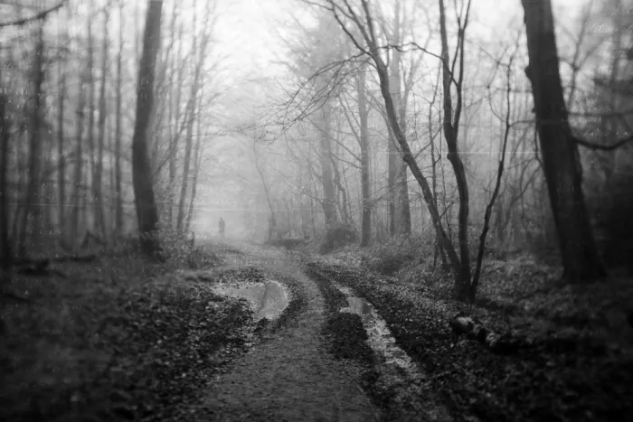Dauria, Adam: Aus Ein Ander