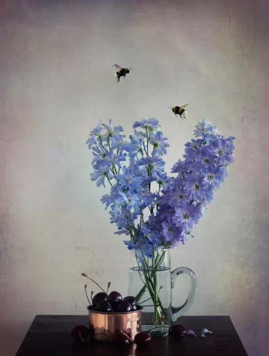 Deelen, van Ellen: Almost Still life:))