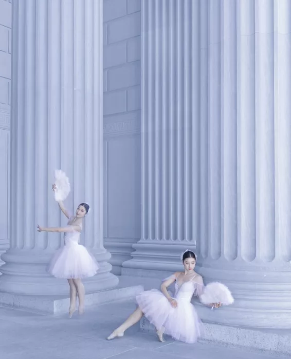 Wang, Catherine: Ballett in Steinschatten