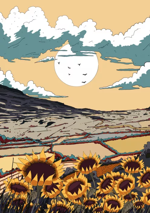 Nicholas: Veduta di girasole