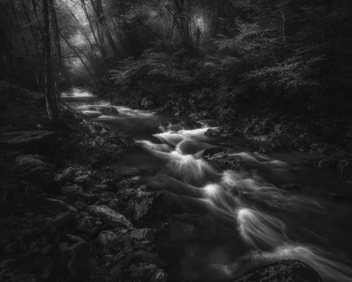 Franzoni, de Thomas: Fiume di ombre