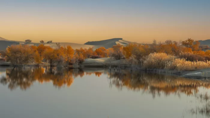 tianhuayu: Eaux calmes, lumière fluide