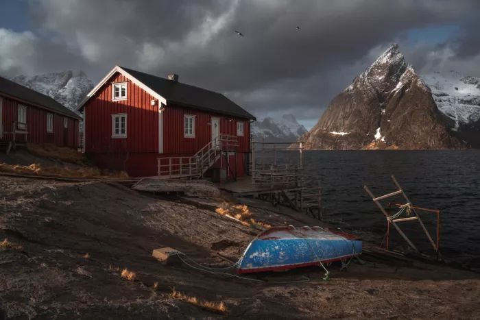 Selagea, Andreea: Nordic scene