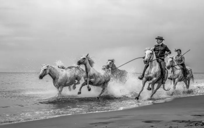 Šimic, Joško: Galloping towards the horizon