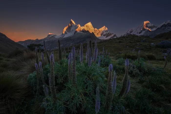 P., Ruiqing: Jardín de los Andes