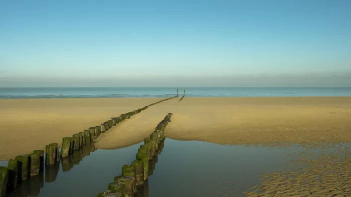 Stas, Marie-anne: ZEN