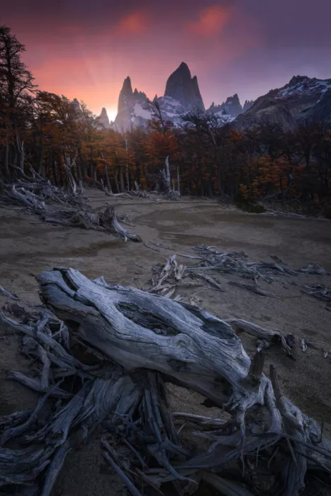 （李永男）, Li Yongnan: Fall Forest
