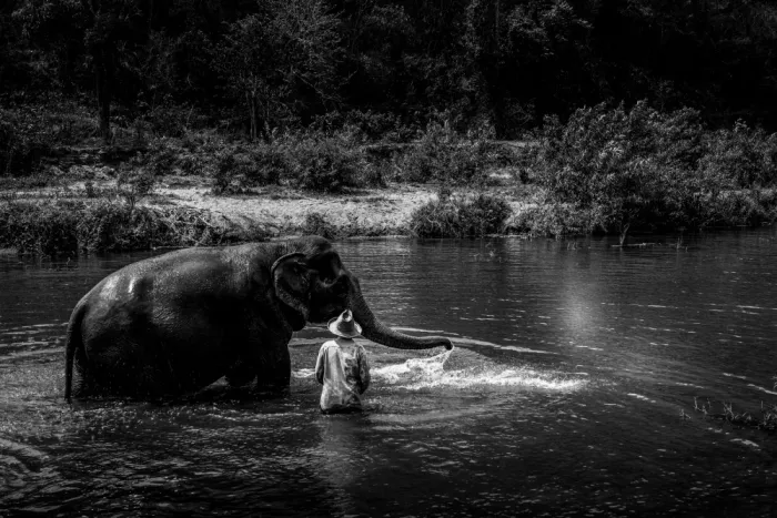 Alves, Borges Luis: Le Bain