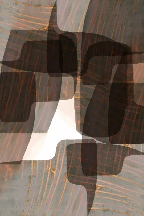 cartissi: Formas abstractas fluidas