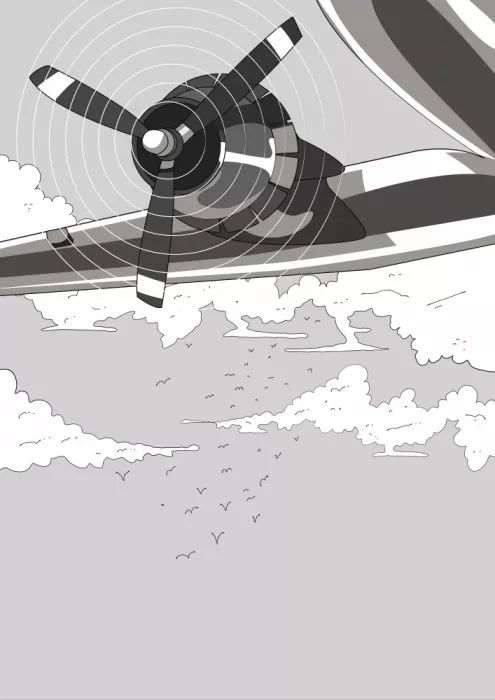 Nicholas: Aereo con elica degli anni Cinquanta
