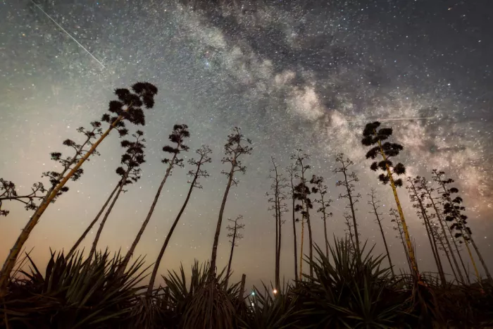Martínez, Ammouneh Taufik: Perseids and Milky Way