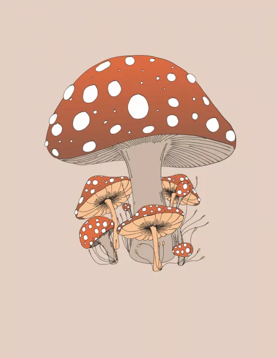 Nicholas: Funghi