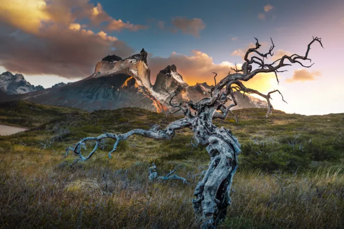 Ying, Li: Guardians of the Peaks