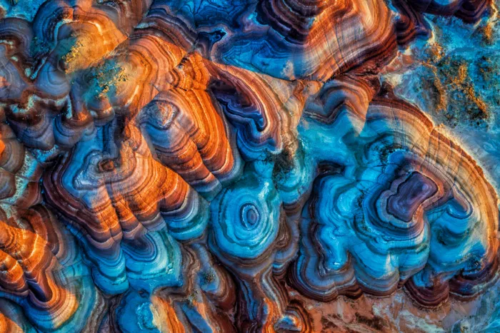Zuo, Jun: Terre colorée