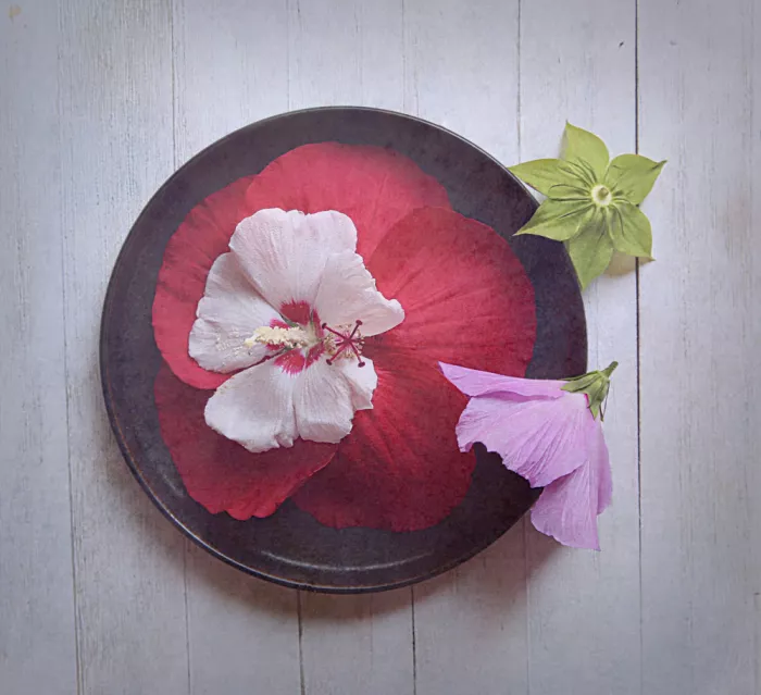 Zhou, Fangping: Paleta de la naturaleza