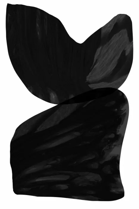 cartissi: Formas negras abstractas n.º 2