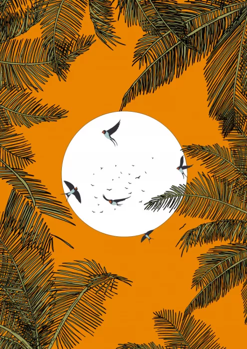 Nicholas: Jungle Swallows