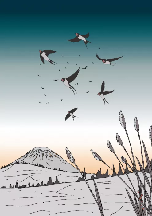 Nicholas: Rondini in volo