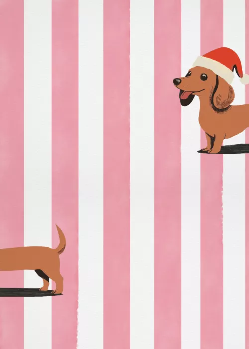 Studio, Pictufy: Dachshund