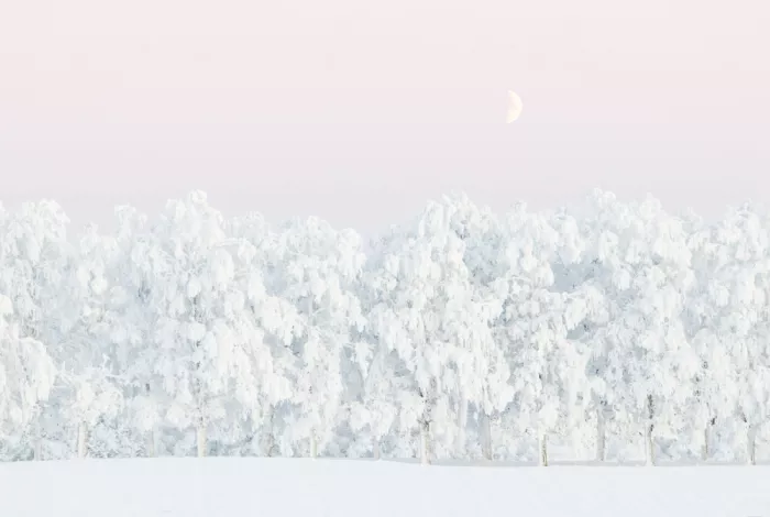 EMELIEmaria: Magia invernal rosa