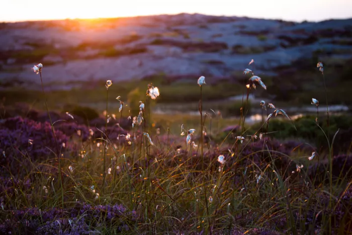 EMELIEmaria: Atardecer de verano