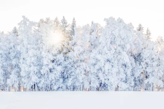 EMELIEmaria: Luz invernal