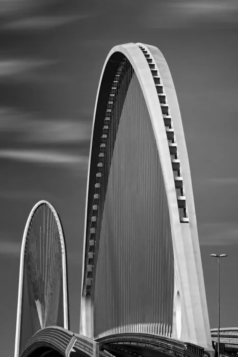 Vicedomini, Angéla: The bridge