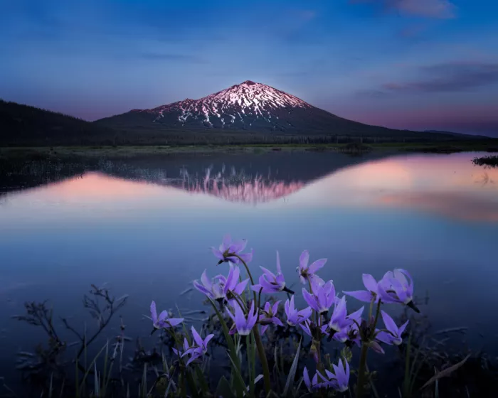 Zhang, Dennis: Mirror of the mountain