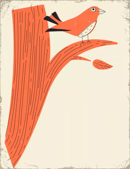 Nicholas: Uccello Vintage