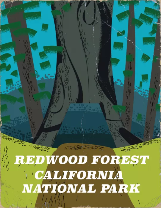 Nicholas: Cartel de viaje Redwood Forest California National Park