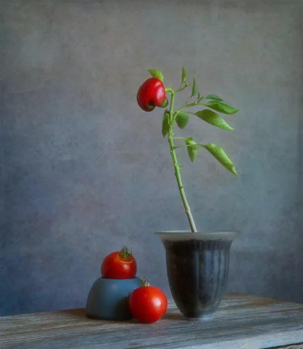 Zhou, Fangping: El Equilibrio rojo