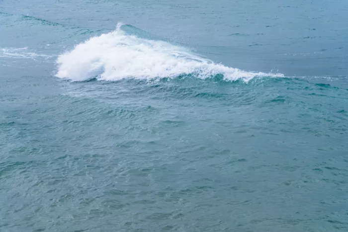 Photolovers: Wave