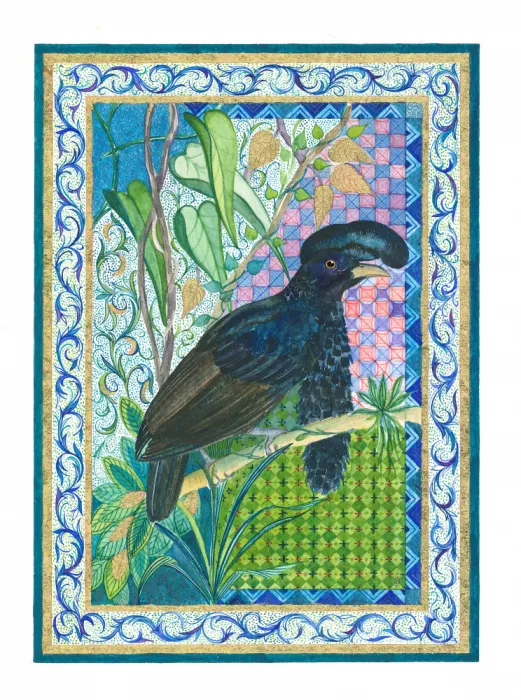 Brent, Isabelle: Uccello Ombrello
