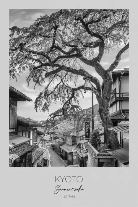 Viola, Melanie: A fuoco: Kyoto storico con il vicolo Sannen-zaka