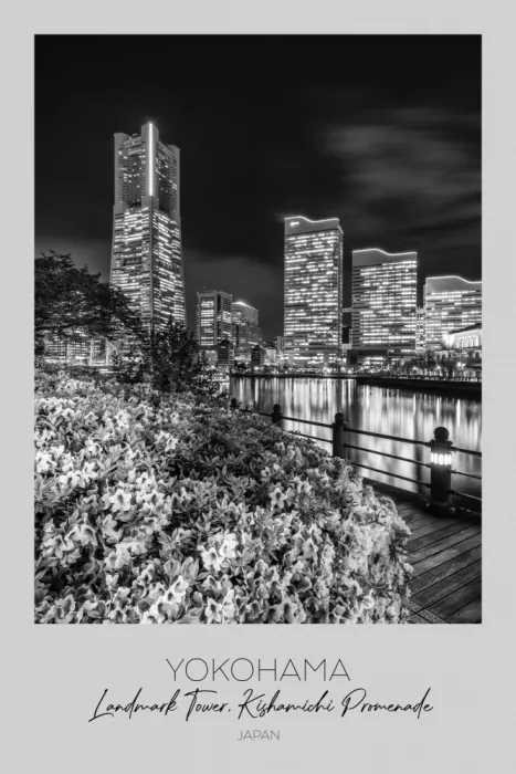 Viola, Melanie: Im Fokus: Yokohama Skyline bei Nacht