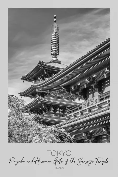 Viola, Melanie: A fuoco: Pagoda di Tokyo e Porta Hozomon del Tempio Senso-ji