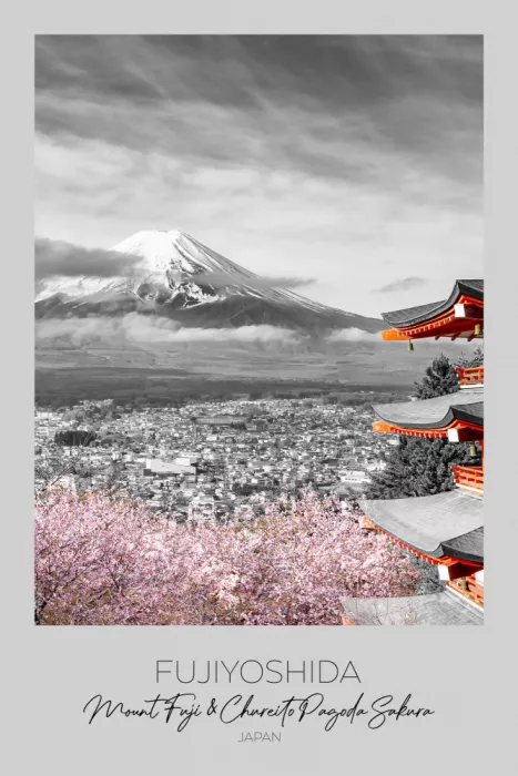 Viola, Melanie: A fuoco: Monte Fuji con pagoda Chureito durante la stagione dei fiori di ciliegio | chiave cromatica
