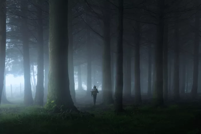 Ye, NingYun: Bosque brumoso