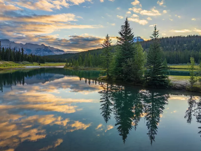 Esposito, Ed: Pines at Sunrise on Cascade