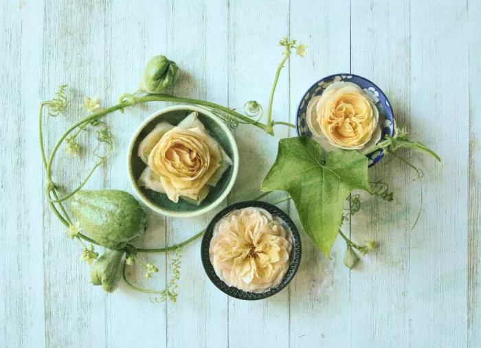 Zhou, Fangping: Rosas congeladas y chayote fresco