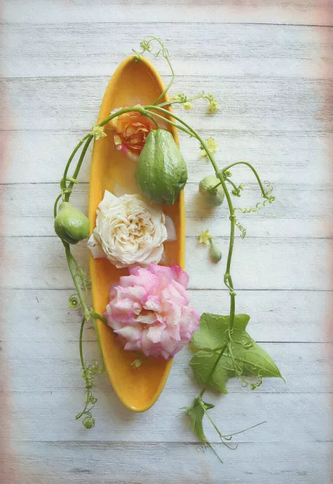 Zhou, Fangping: Chayote fresco y rosas congeladas