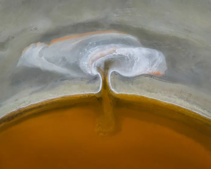 Dou, Shenshen: Hongo de salina