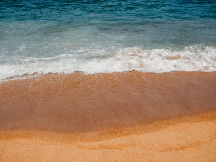 Photolovers: Tropical beach in Sri Lanka