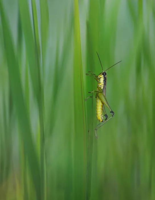 Summer2016: Hra na schovávanou