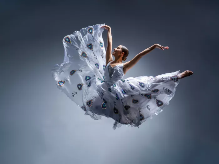 Wang, Jeff: Pavo real volador