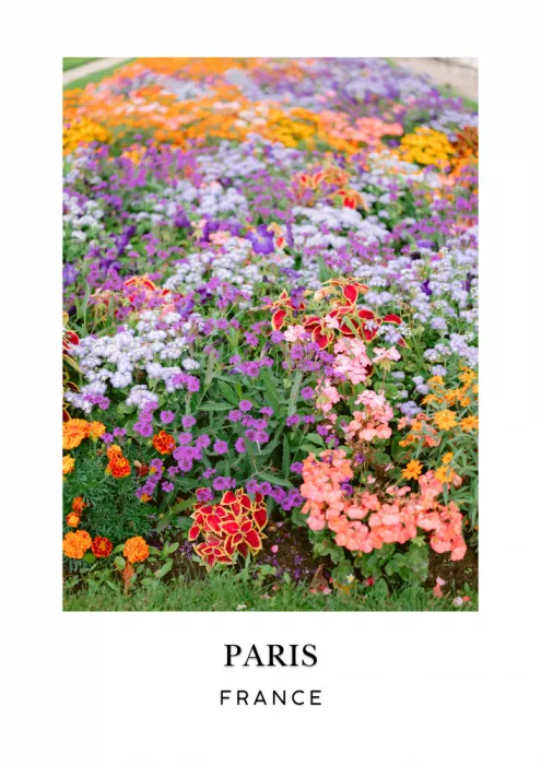 Zwart, Raisa: Pariser Blumenreiseplakat